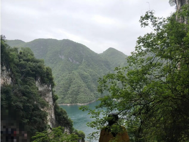 美人谷