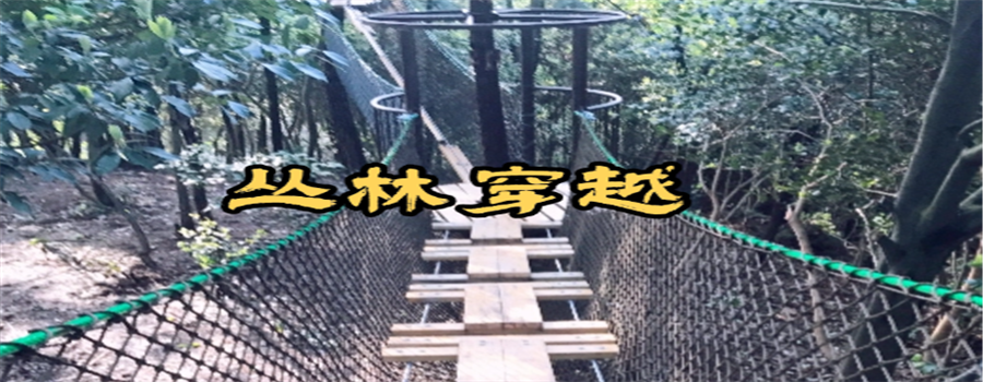 天空之城丛林穿越