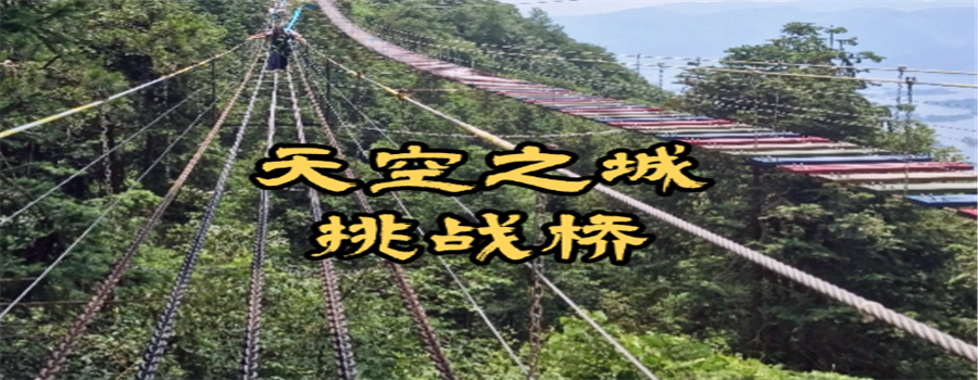 天空之城挑战桥