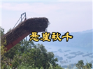 仙岛湖一日游团建