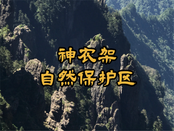 神农架自然保护区