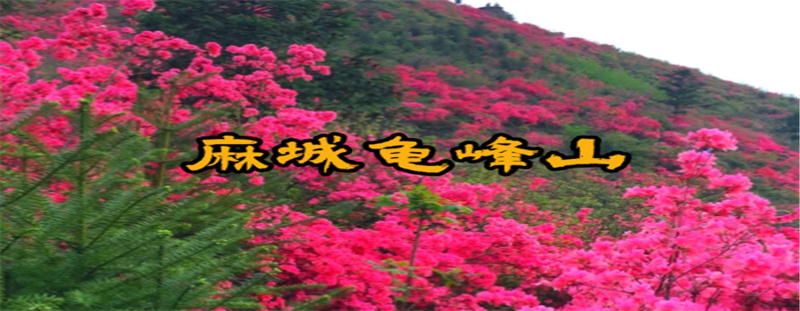 麻城龟峰山