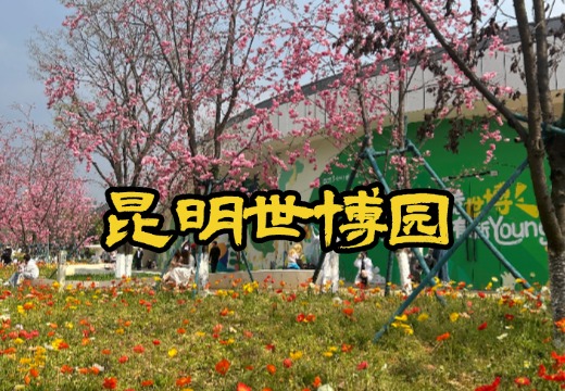 昆明世博园